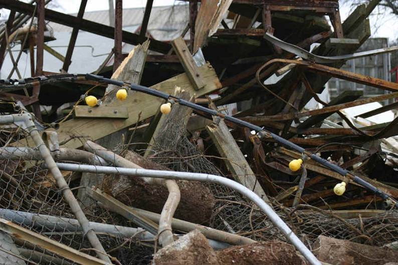 c01.06.06_FLEM_lights.jpg (173766 bytes)